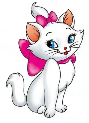 波斯猫水灵(图)