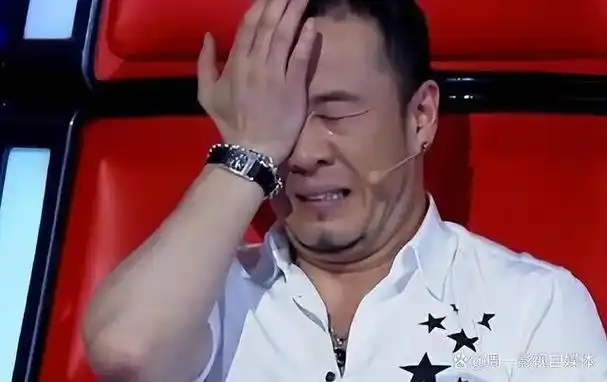 其代表作品为《讽刺刘德华并非专业歌星》杨坤的意思是:刘德华是三元