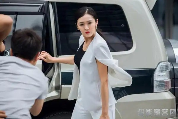 性感女神王蕾加盟以黑客为题材的电影《超能黑客团》