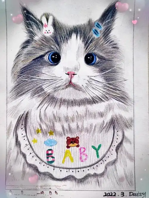 除了黑色是霹雳马的其它都是10几块钱的便宜彩铅,又是开心画画的一天