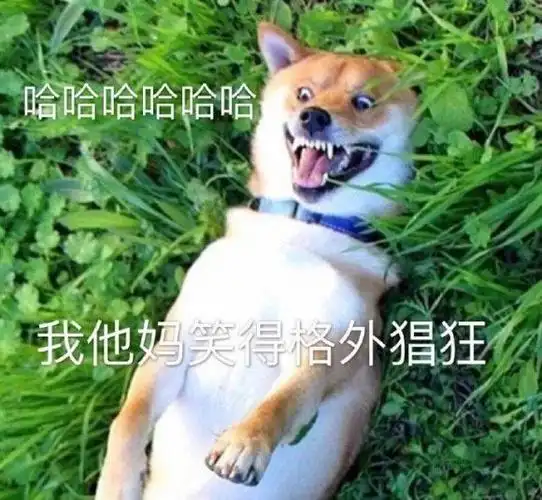 狗子露出格外猖狂的笑容
