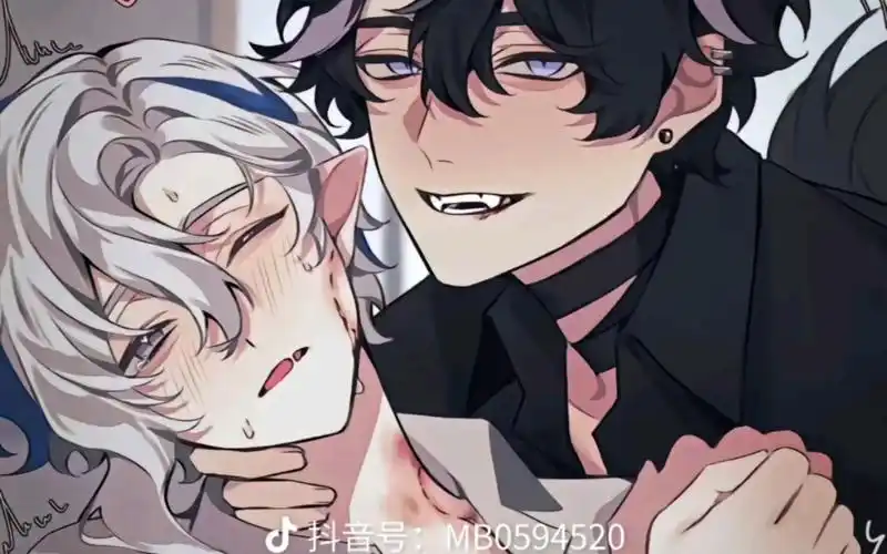 原神cp/莱那/魈荧/散荧/枫散