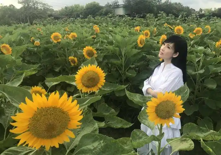 54岁周慧敏真跟岁月叫板,穿白色网纱裙弹钢琴,老戏骨还是少女颜_女性