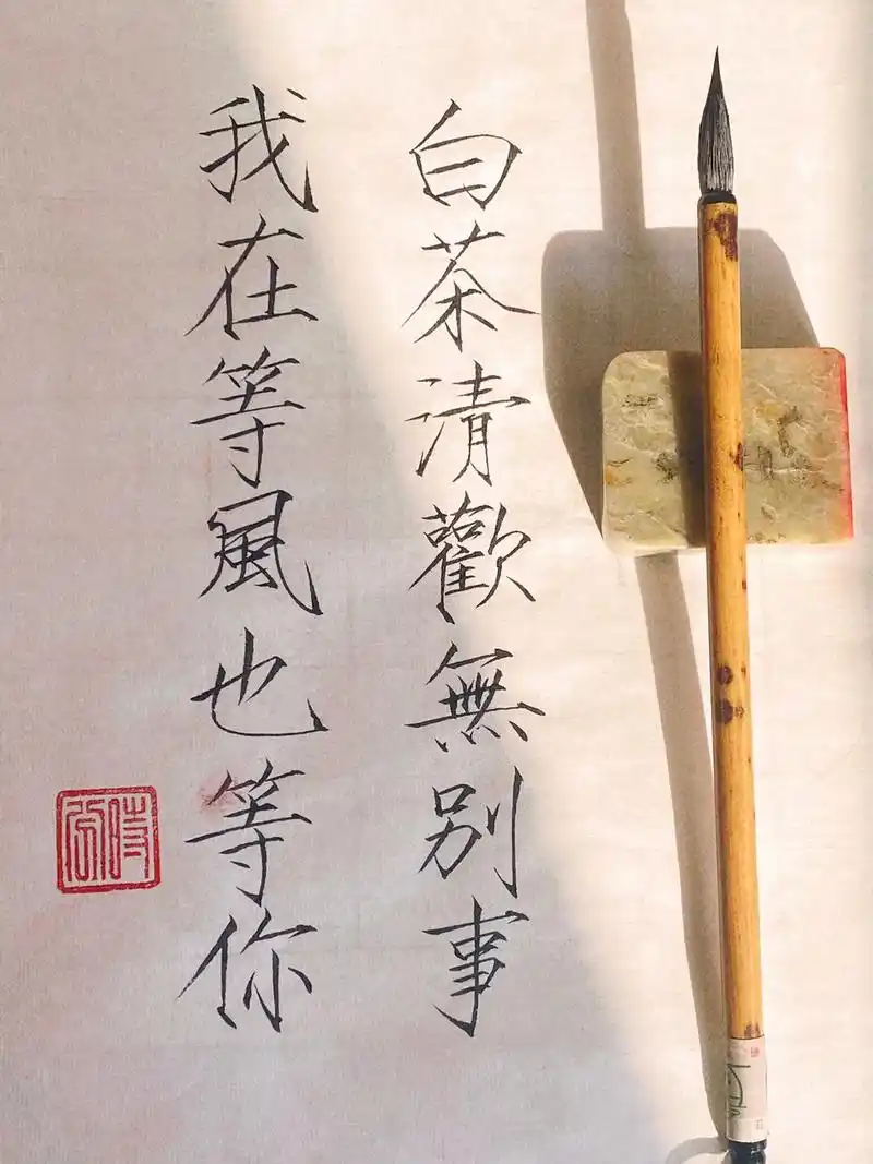 白茶清欢无别事,我在等风也等你.  #瘦金体 #手写 #写字 - 抖音