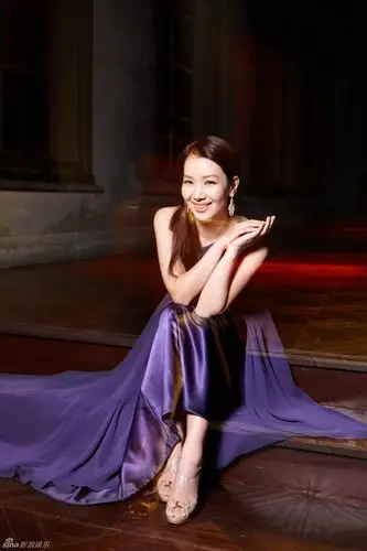 胡军娇妻卢芳艺术写真 尽显高贵典雅(图)