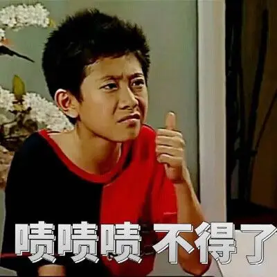 家有儿女 刘星 表情包