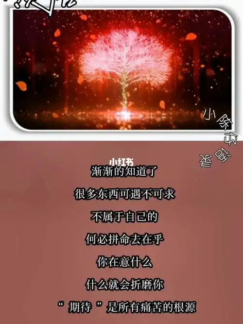 不属于自己的东西就放手吧