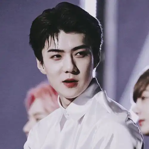 吴世勋头像(拿图dd)