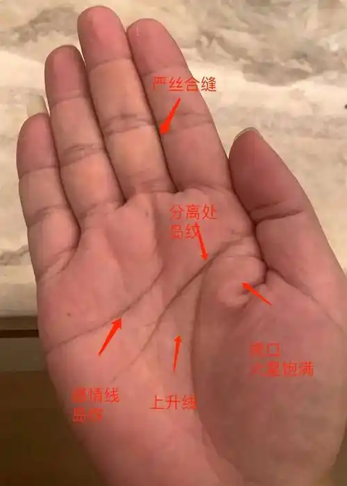 运势根基深厚,为人慷慨大方的手相_生命线_左右手_感情