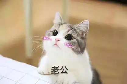 老公 - 老公老公,我爱你_老公_喵星人_撩妹撩汉表情