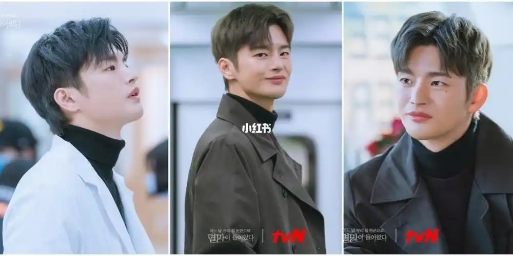 徐仁国陆星材傻傻分不清楚