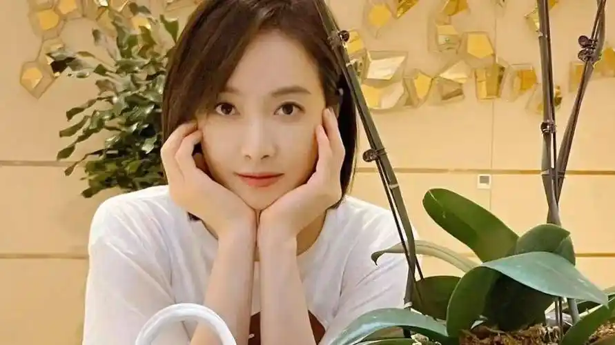 刘大锤爆料宋茜自从和杨洋分手后,就一直单身,也不敢谈恋爱了