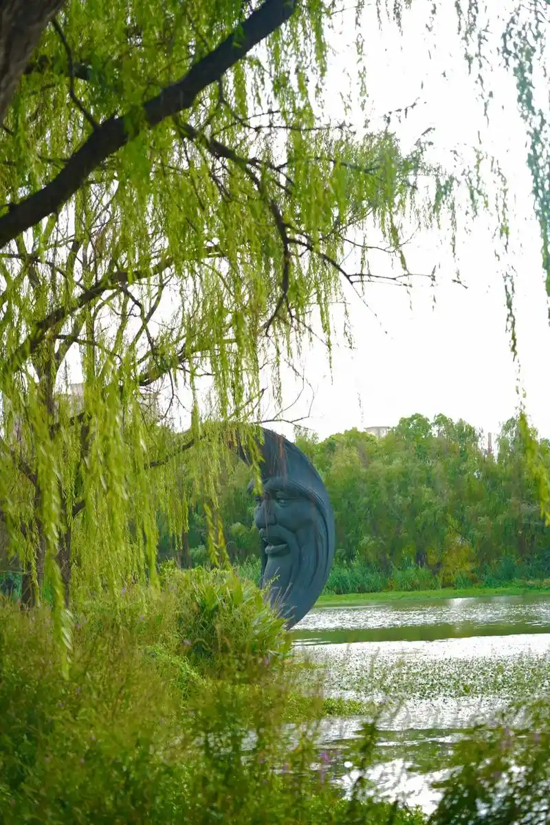 舒畅的飞盘03时光,昆山森林公园还遇到了两队 - 抖音