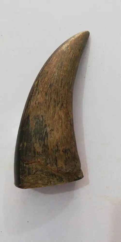 想问问,我这是犀牛角吗?爷爷留下的