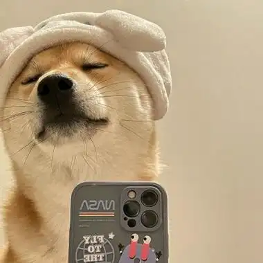 拿手机自拍狗的头像照片