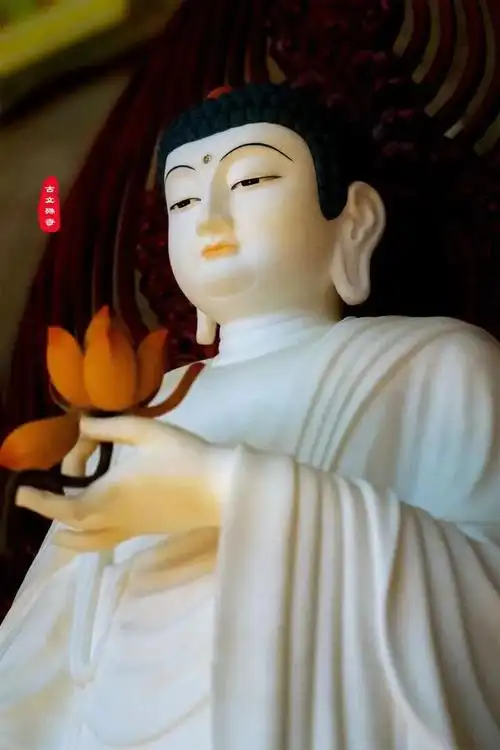 所以要想见到果地上的阿弥陀佛,也要通过自己无量光无量寿的心的因地.