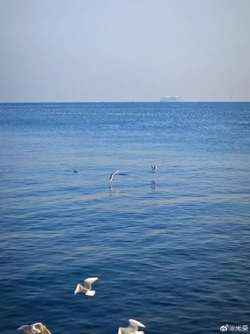 青岛##青岛旅游攻略