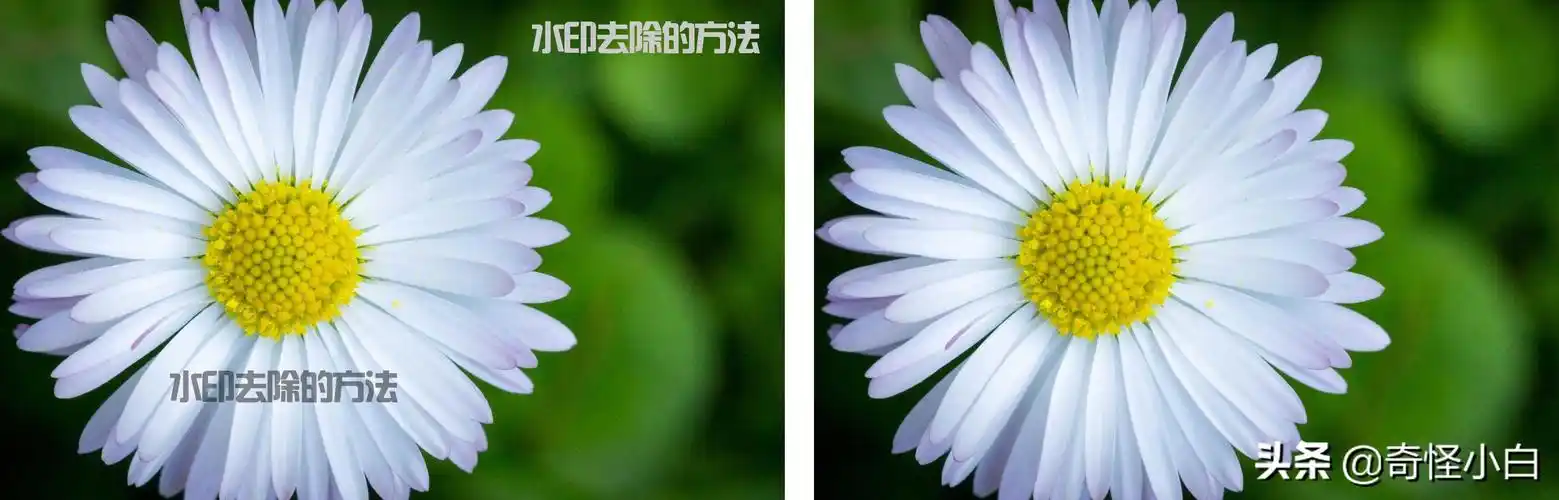 ps如何去除图片水印ps去复杂水印的详细步骤