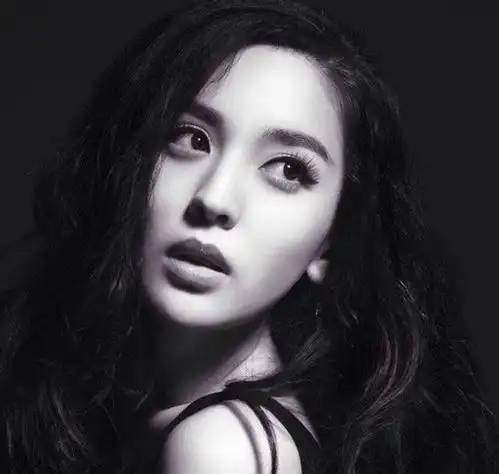 经典明星头像图片大全好看的明星头像图片大全集