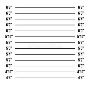 警察部门脸面照片行列隔离的.监狱波黑照片