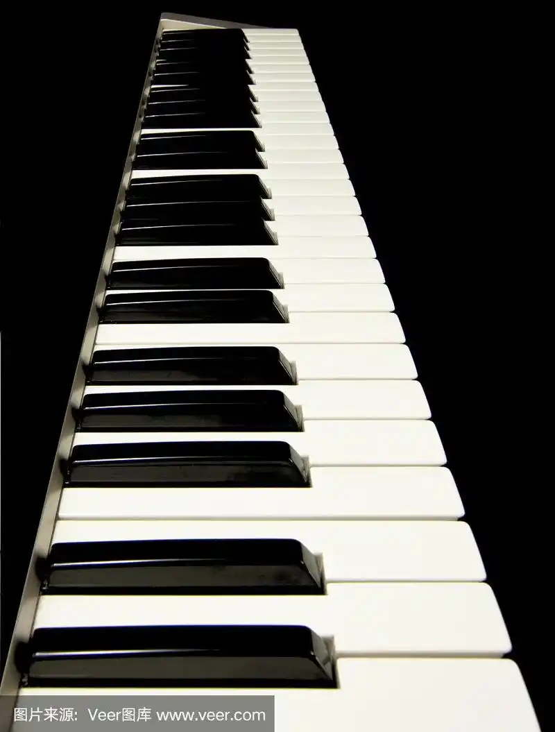 钢琴键盘