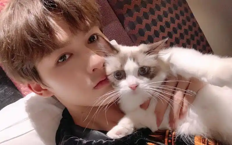 露易丝】朱正廷,你还记得你猫毛过敏吗?