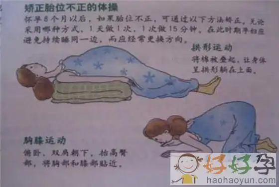 胎位横位怎么纠正图 横位孕妈妈必知的胎位纠正方法