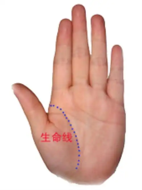 生命线短就说明寿命短吗? 最准的在线电脑算命:预测你的一生命运!