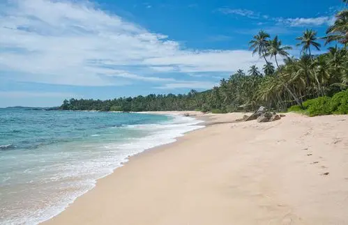 沙滩图片_沙滩图片大全_全景图片