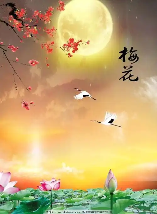 月亮梅花头像图片大全