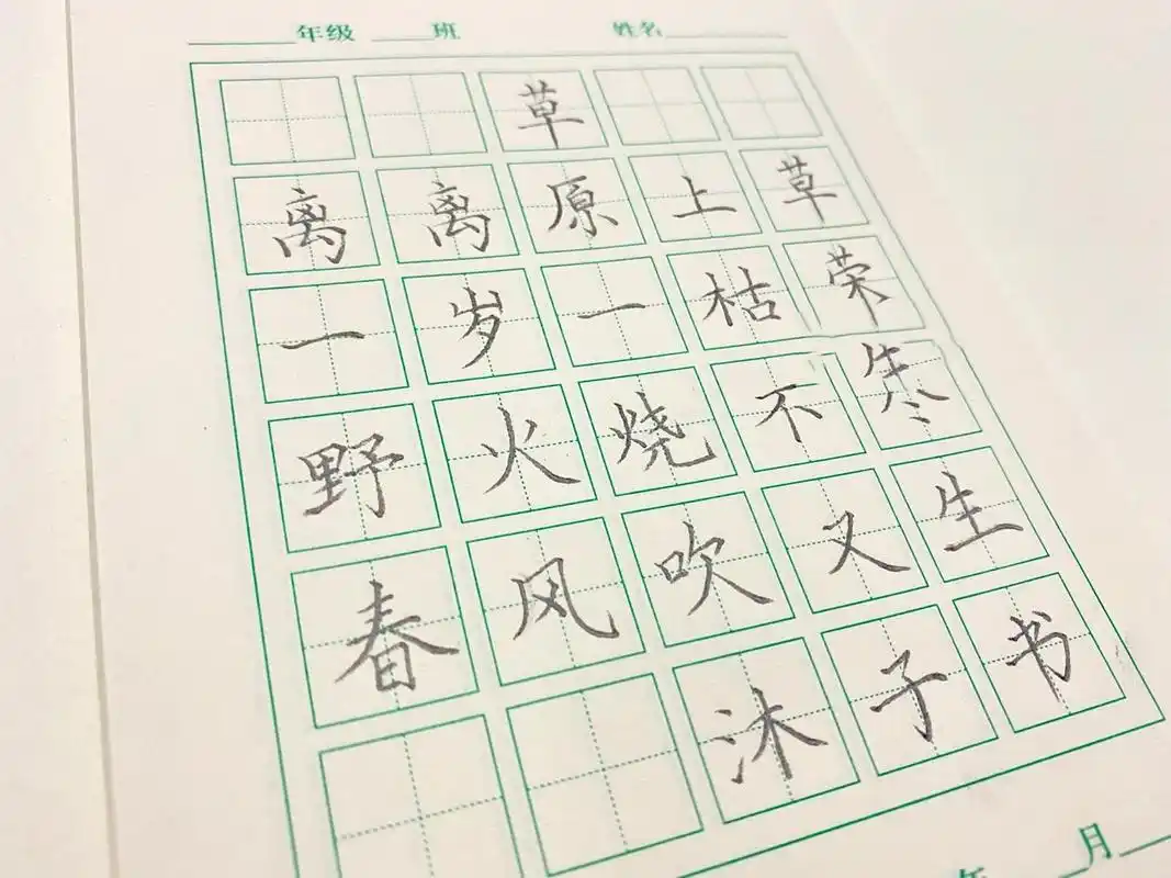 手写古诗《草》 【硬笔书法】 野火烧不尽 春风吹又生