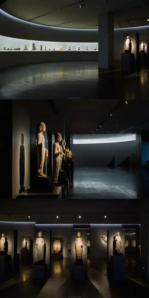 震旦博物馆|魔都建筑奇谭记 - 原创作品 - 站酷(zcool)