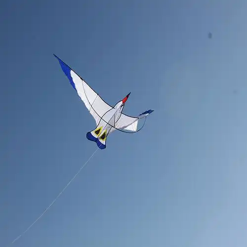 潍坊风筝 经典款海鸥风筝 户外运动型 正品包邮 前撑杆布拼工艺