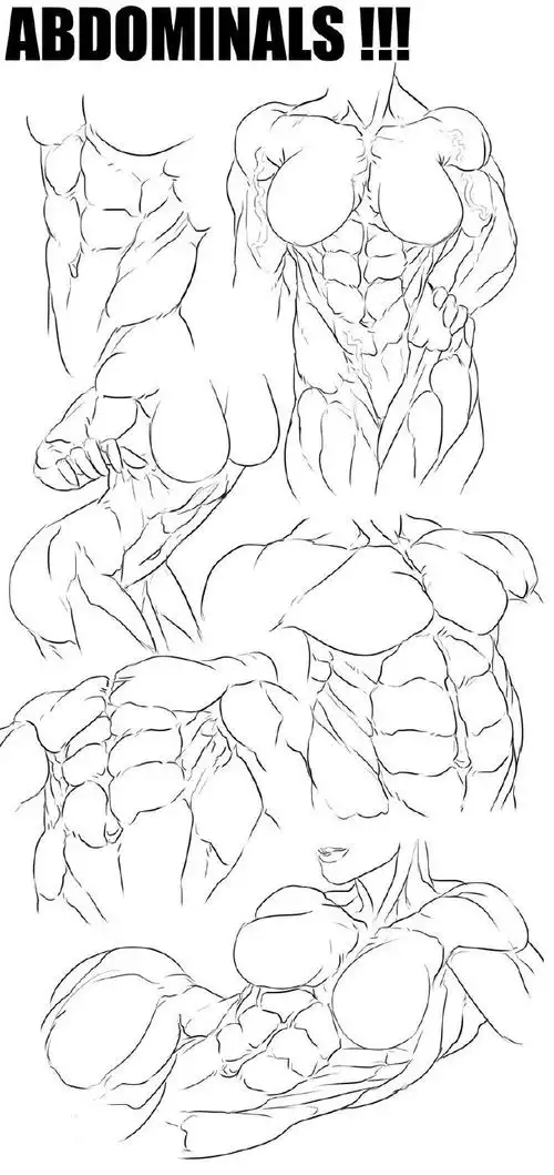 腹肌#绘画参考##人体参考