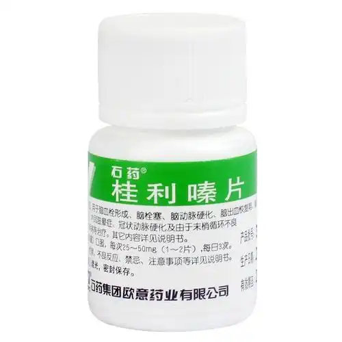 n桂利嗪片(脑益嗪)-384150601