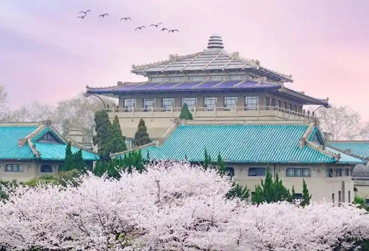 国内十大最美校园名单出炉,学校也开始拼颜值,学习生活两不误