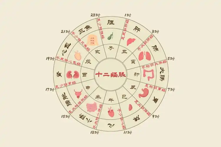 十二时辰养生法卯时促进大肠排糟粕