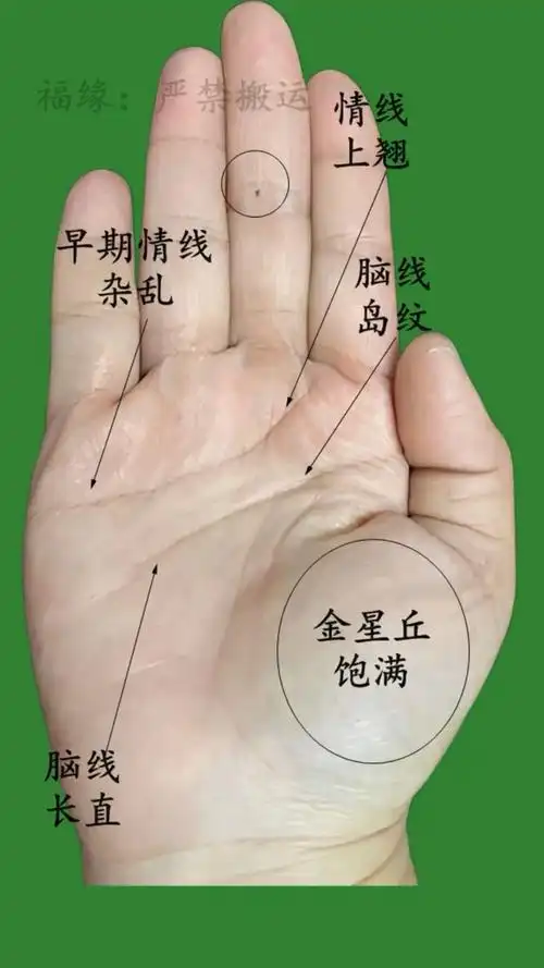 越老越有福的手相!#知识创作人 #星座吐槽大会