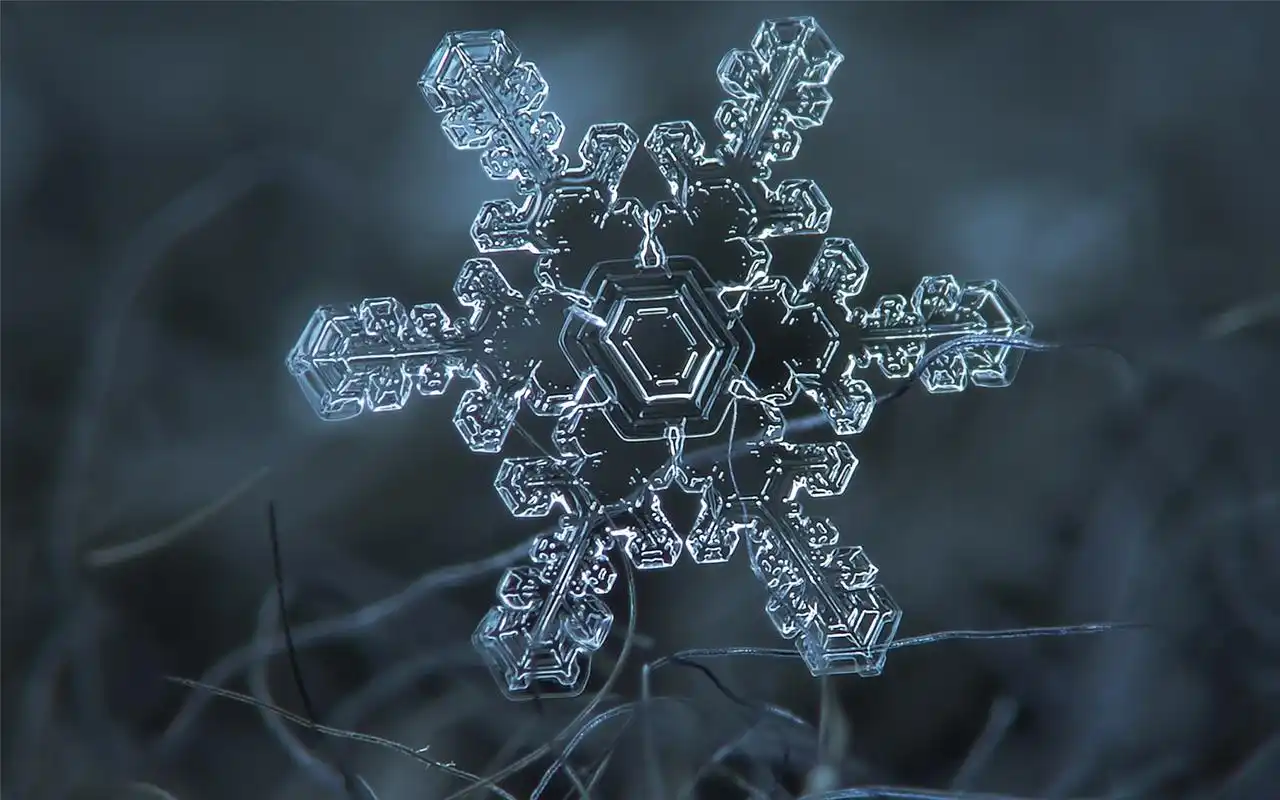 晶莹剔透的雪花唯美高清桌面壁纸