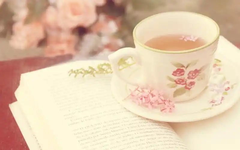 假日下午茶,杯子,茶,花,花瓣,书,阳光,温暖,舒缓,文艺,书香一瓣,静物