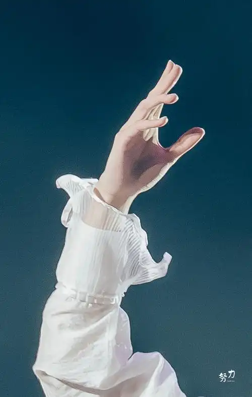 贺峻霖 梦蝶破笼##贺峻霖 令人心动的offer5