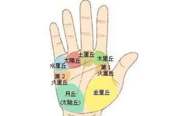 月丘上的线纹是什么