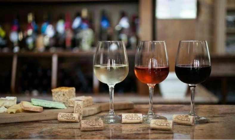 市民艺术夜校回归明天开启报名