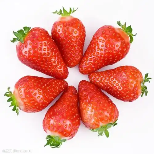 拼成圆形的草莓图片素材下载(图片id:847301)_-水果蔬菜-图片素材_ 集