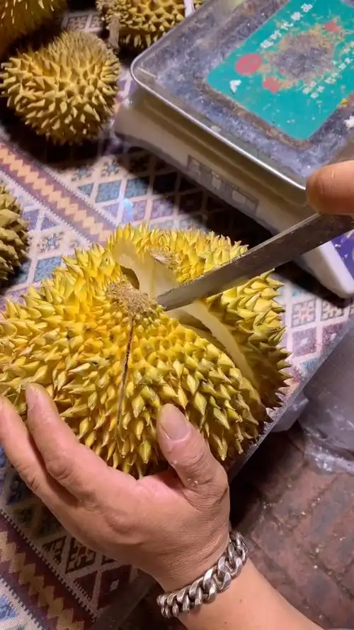 切开一个金枕榴莲看看