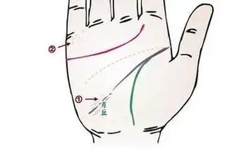 月丘饱满是什么意思