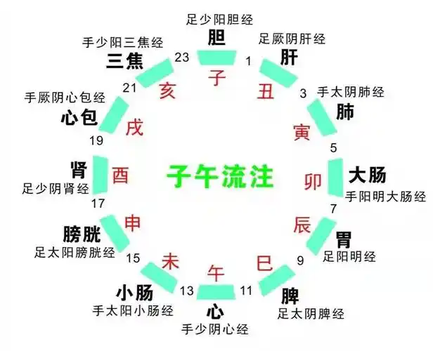 爱熬夜的你这边看!好好睡觉,从"子午觉"开始