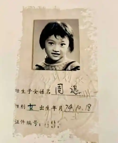 周迅简历个人简介周迅简历个人简介