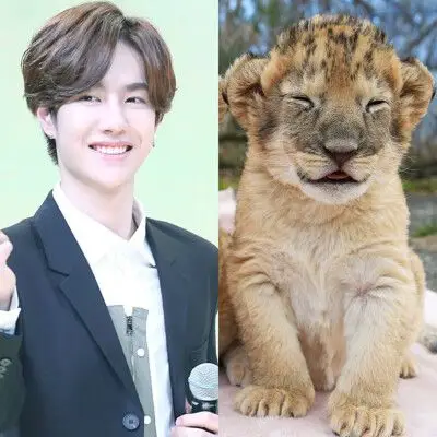 王一博就是只小狮子呀!