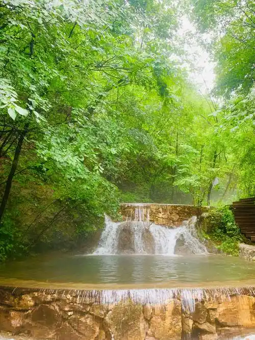 河南洛阳热门景点推荐栾川王府竹海景区竹林瀑布避暑纳凉